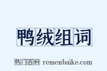 鸭绒组词是什么意思的图片